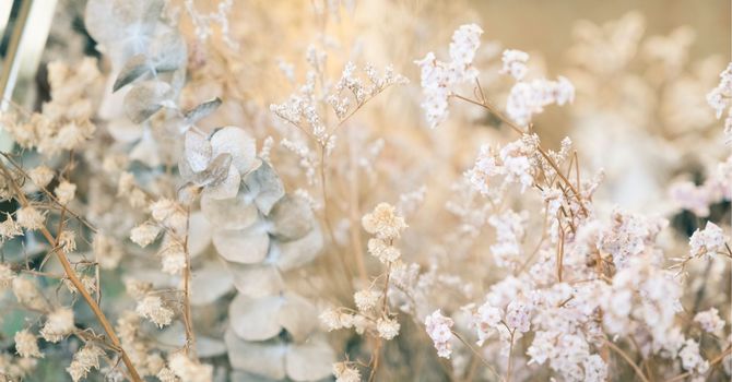 Membership Packages - Product and Treatments