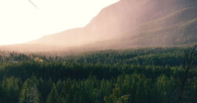 Membership Packages - Product and Treatments