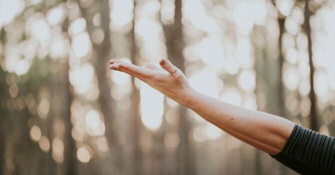 Membership Packages - Product and Treatments