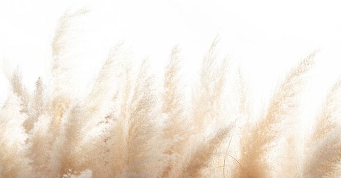 Artemis TShape2 - Italy and Neogen-Italy